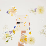 Le coffret Mimosa puise son inspiration dans la lumière douce et dorée du mimosa, symbole de renouveau et de chaleur. Fleur emblématique du sud, elle apporte son éclat lumineux et délicat et réinvente l'art d'offrir des fleurs.
Composé de nos deux best-sellers iconiques revisités avec un parfum au mimosa, offrez des fleurs, autrement. 
Il est le cadeau idéal à (s')offrir pour découvrir nos soins, et les emporter facilement partout avec soi. 
Il contient : 
✔ Shampoing mimosa 50gr : il nettoie les cheveu