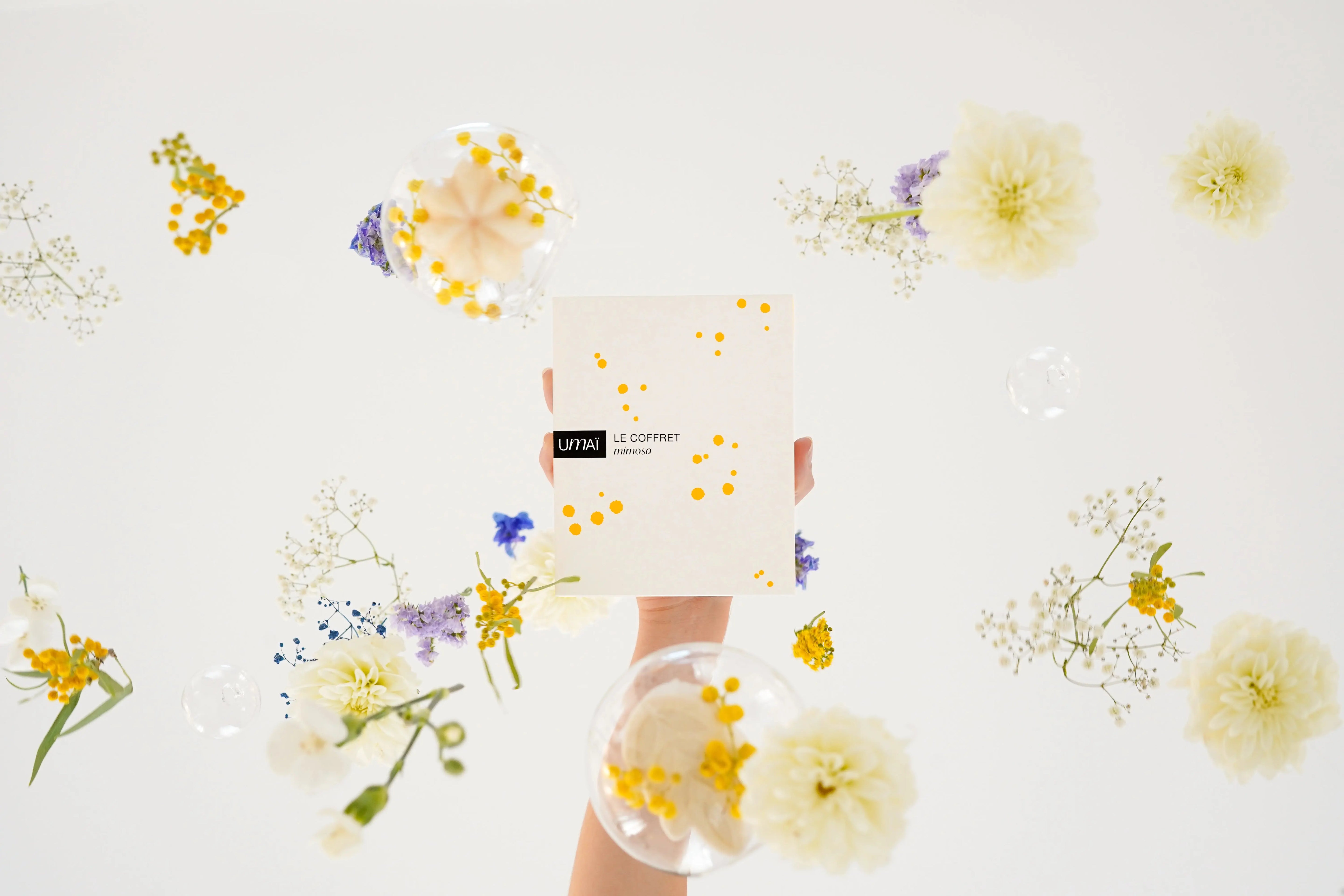 Le coffret Mimosa puise son inspiration dans la lumière douce et dorée du mimosa, symbole de renouveau et de chaleur. Fleur emblématique du sud, elle apporte son éclat lumineux et délicat et réinvente l'art d'offrir des fleurs.
Composé de nos deux best-sellers iconiques revisités avec un parfum au mimosa, offrez des fleurs, autrement. 
Il est le cadeau idéal à (s')offrir pour découvrir nos soins, et les emporter facilement partout avec soi. 
Il contient : 
✔ Shampoing mimosa 50gr : il nettoie les cheveu