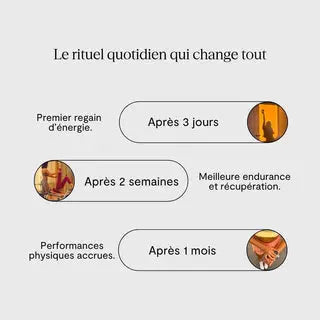 BIEN HEALTH : COMPLÉMENTS ALIMENTAIRE POWER X1 Bumpy