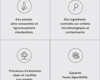 BIEN HEALTH - COMPLÉMENT ALIMENTAIRE FOCUS X1 Bumpy