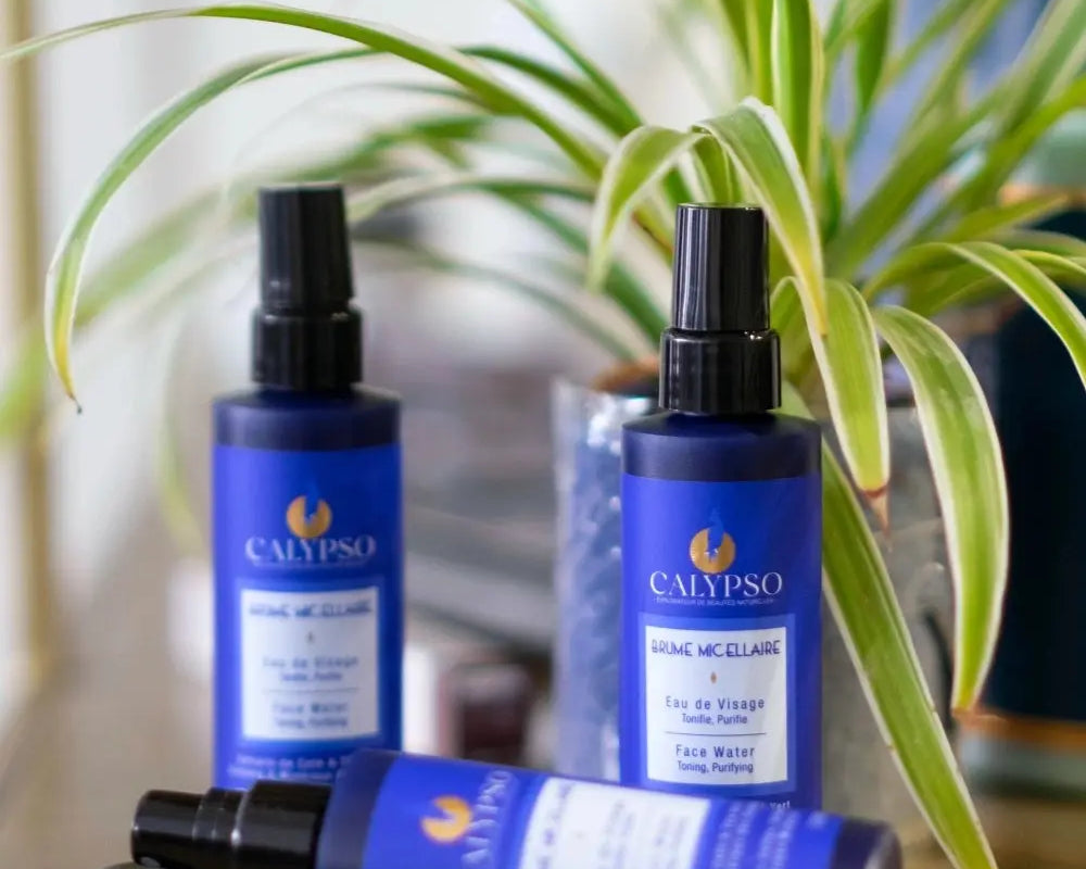 CALYPSO : BRUME MICELLAIRE Bumpy