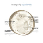 HAIROLOGIST : Shampoing doux hydratant et régénérant Bumpy