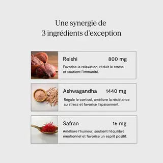 BIEN HEALTH : COMPLÉMENTS ALIMENTAIRE CALM X1 Bumpy