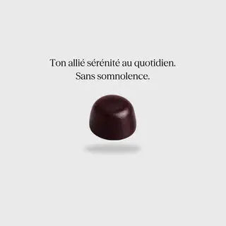 BIEN HEALTH : COMPLÉMENTS ALIMENTAIRE CALM X1 Bumpy