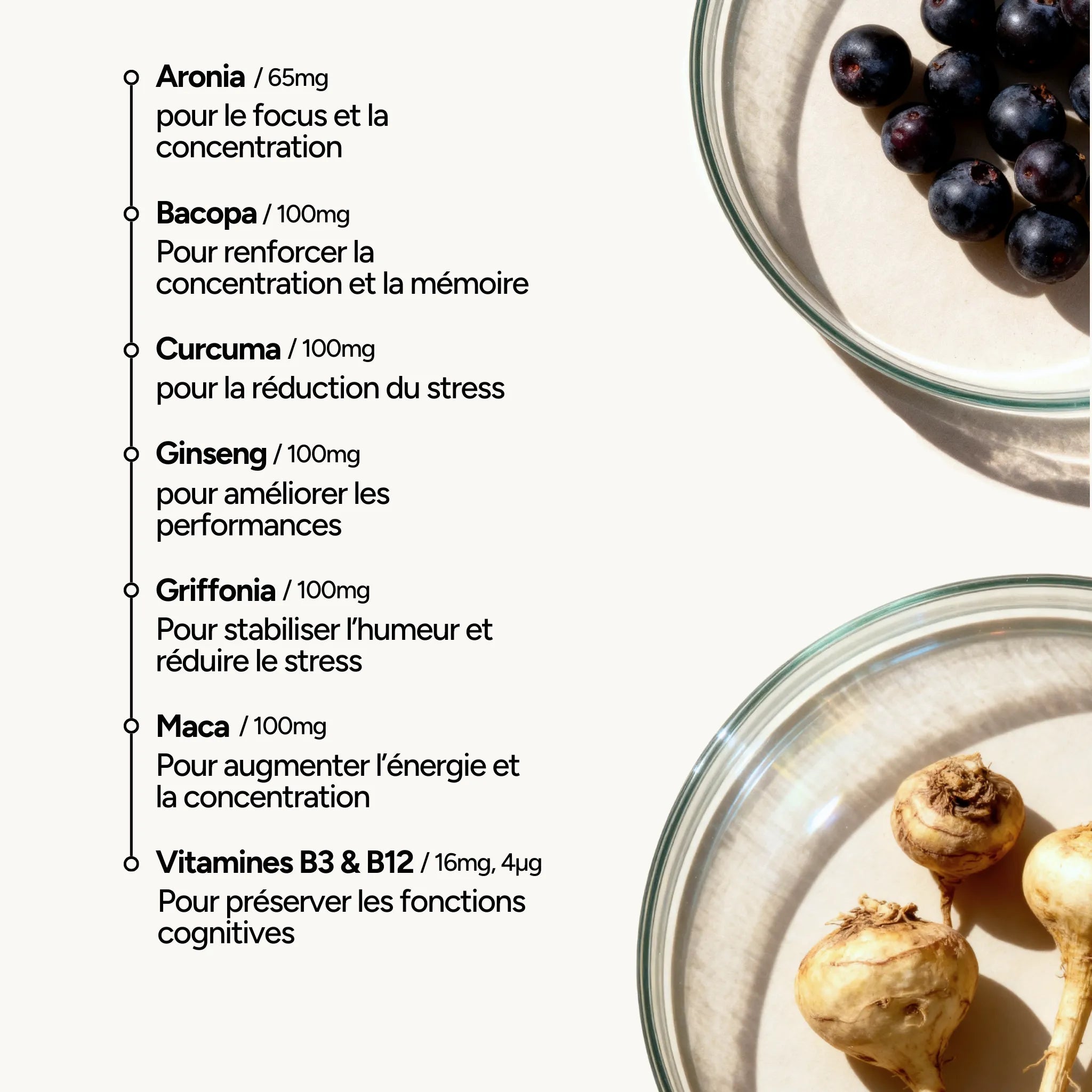 Composition Performance Cérébrale Brainologist – Bacopa, Griffonia 5-HTP, Aronia, Ginseng, Curcuma, Maca, Vitamines B3 et B12