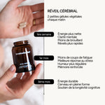 Chronologie des effets Réveil Cérébral Brainologist sur l'énergie matinale