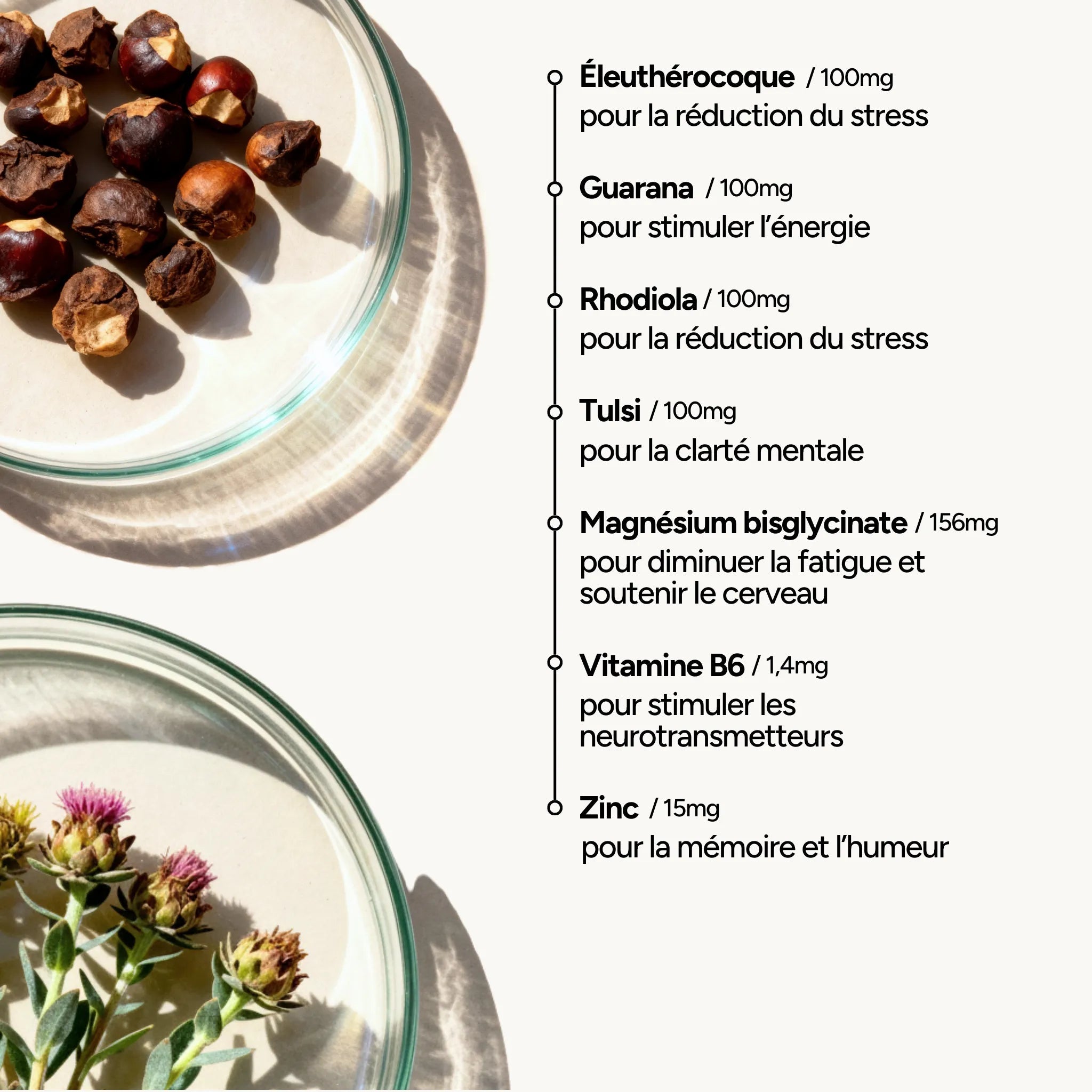 Composition Réveil Cérébral Brainologist – Guarana, Rhodiola, Eleuthérocoque, Tulsi, Magnésium bisglycinate, Zinc, Vitamine B6
