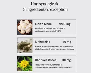 BIEN HEALTH - COMPLÉMENT ALIMENTAIRE FOCUS X1 Bumpy
