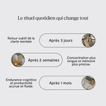 BIEN HEALTH - COMPLÉMENT ALIMENTAIRE FOCUS X1 Bumpy