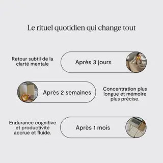BIEN HEALTH - COMPLÉMENT ALIMENTAIRE FOCUS X1 Bumpy