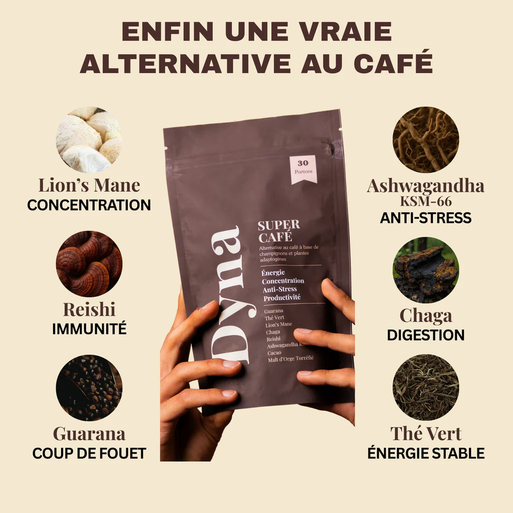 DYNA : Super Café BOOST