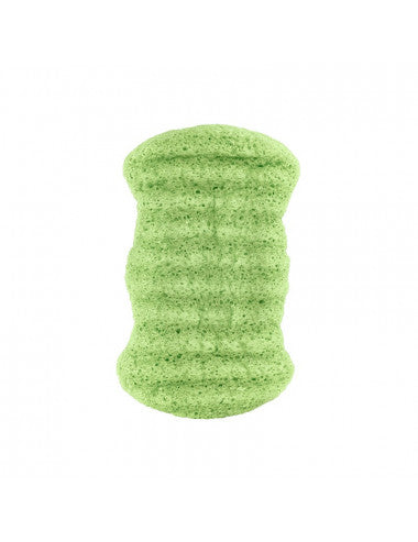 Plic : Eponge Konjac - Aloe vera - Corps - Hydratante