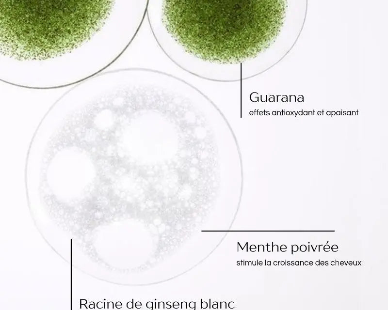 Shampoing ultra volumateur 300ml Ma boutique