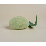 Plic : Eponge Konjac - Aloe vera - Visage - Hydratante