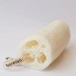 Bareaya : Loofah