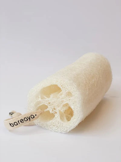 Bareaya : Loofah