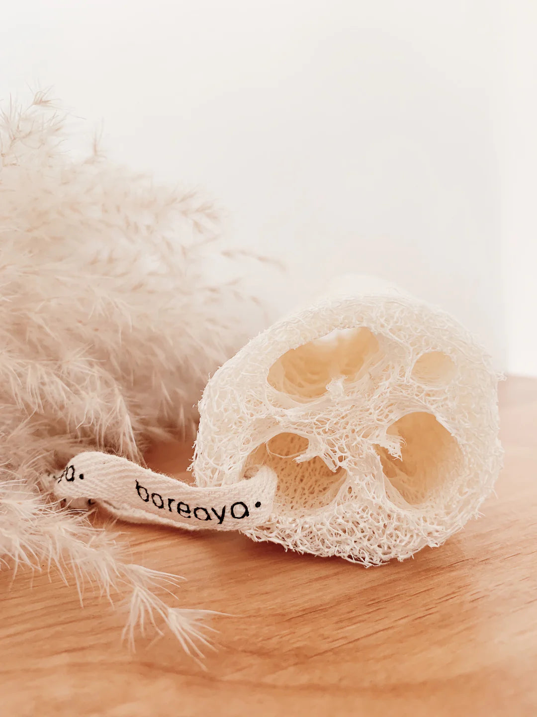 Bareaya : Loofah
