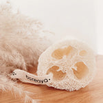 Bareaya : Loofah