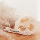 Bareaya : Loofah