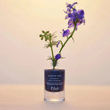 P.Lab Beauty : Elixir de Nuit Bumpy