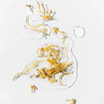 P.Lab Beauty : Huile Corps & Cheveux Bumpy