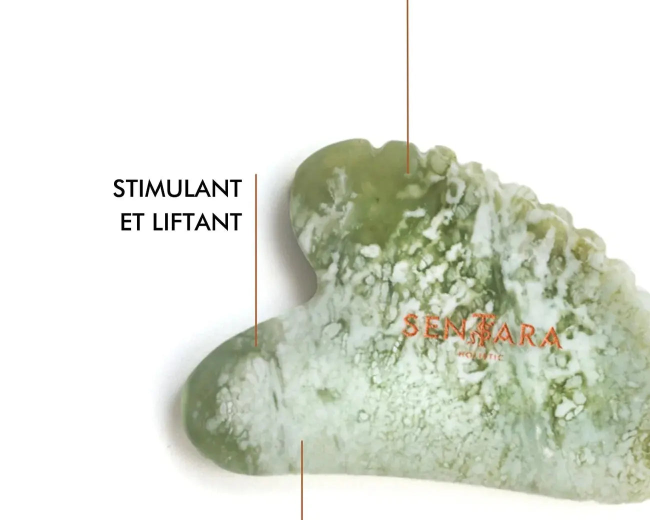SENTARA : GUA SHA VISAGE -  JADE VERT CŒUR A DENTS Bumpy