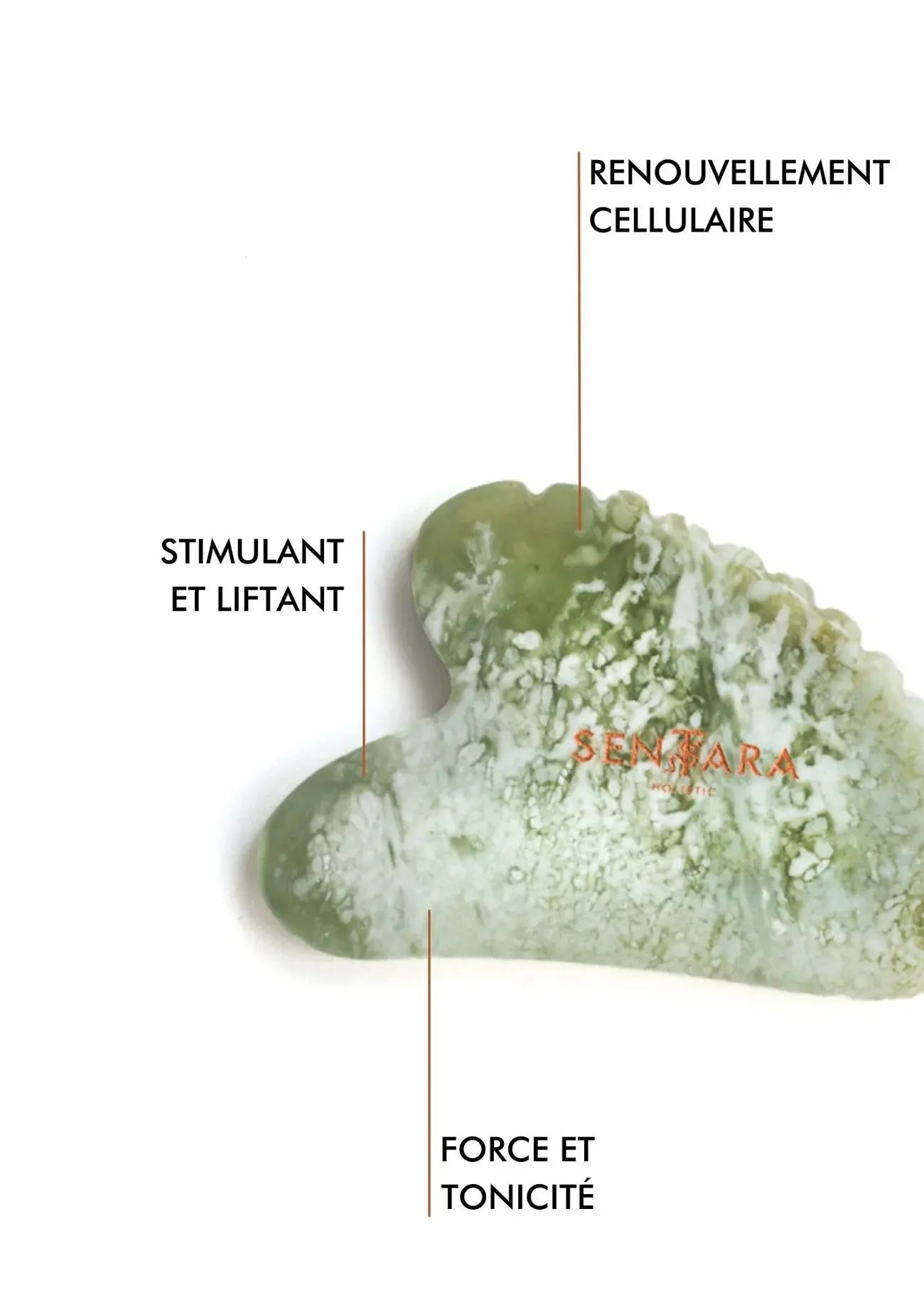 SENTARA : GUA SHA VISAGE -  JADE VERT CŒUR A DENTS Bumpy