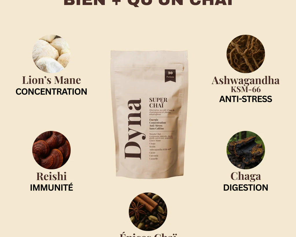 DYNA : Super Chaï SÉRÉNITÉ